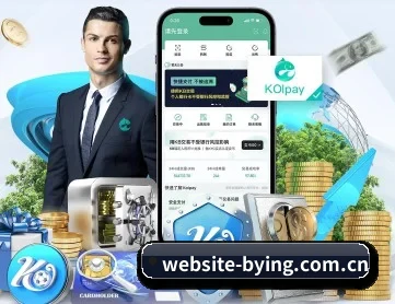 website-bying.com.cn APP 深度功能