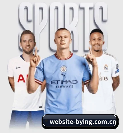 website-bying.com.cn五大内容板块,覆盖赛事直播与实时比分